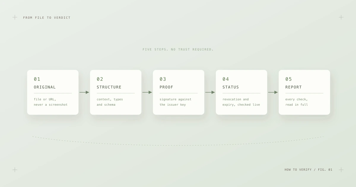 Five step verification pipeline: obtain the original credential, check structure, verify proof, check status, read the report.